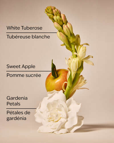 White Gardenia Wallflowers Fragrance Refill