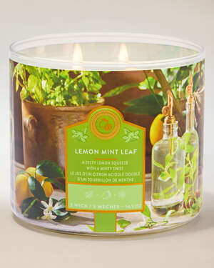 Lemon Mint Leaf 3-Wick Candle