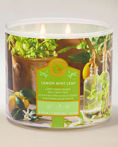 Lemon Mint Leaf 3-Wick Candle