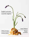 Autumn Woods 3-Wick Candle