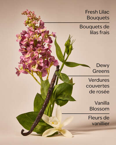 Pink Lilac & Vanilla 3-Wick Candle