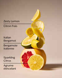 Kitchen Lemon Gentle & Clean Foaming Hand Soap