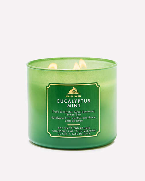 Eucalyptus Mint 3-Wick Candle