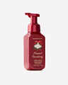 Frosted Cranberry Gentle & Clean Foaming Hand Soap