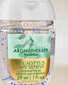 Eucalyptus + Spearmint PocketBac Hand Sanitizer