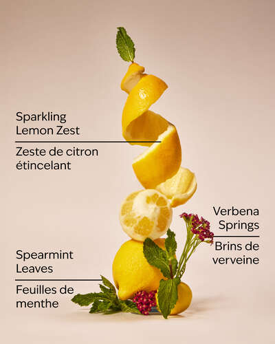 Lemon Mint Leaf 3-Wick Candle