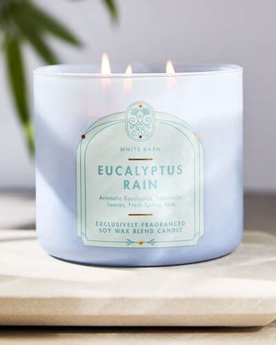 Eucalyptus Rain 3-Wick Candle
