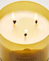 Pineapple Mango 3-Wick Candle