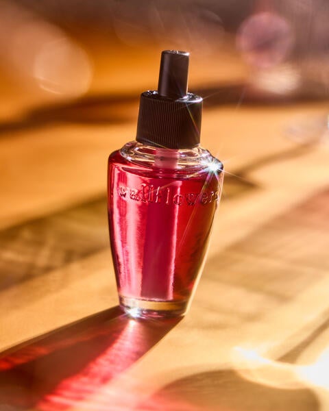 Recharge de fragrance Wallflowers Champagne Toast