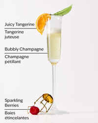 Champagne Toast Gift Set