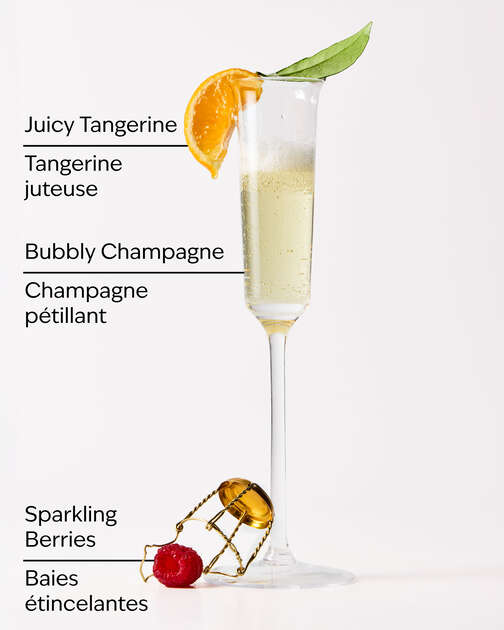 Champagne Toast Gift Set