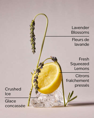 Lavender Lemonade Cleansing Gel Hand Soap
