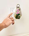 Orchid Terrarium Scent Control&trade; Nightlight Wallflowers Fragrance Plug