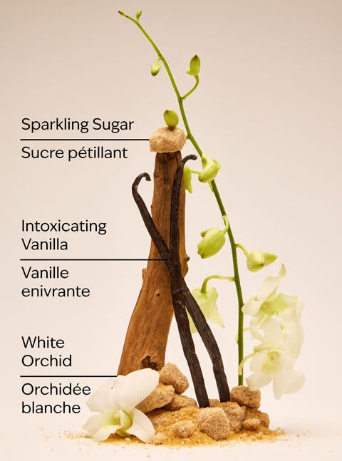 Lotion pour le corps Warm Vanilla Sugar