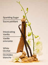 Warm Vanilla Sugar Body Lotion