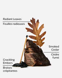 Fireside & Leaves 3-Wick Candle