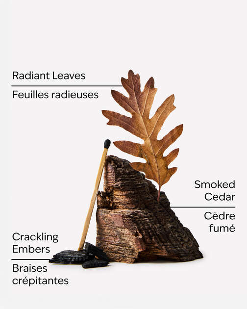 Fireside & Leaves 3-Wick Candle