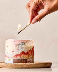 The Perfect Autumn 3-Wick Candle