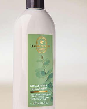 Eucalyptus Spearmint Moisturizing Conditioner