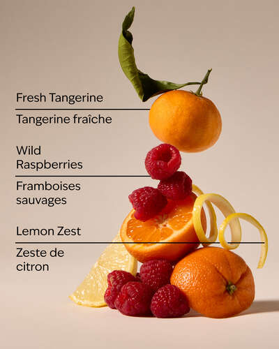 Raspberry Tangerine Gentle & Clean Foaming Hand Soap