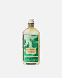 Eucalyptus Spearmint Body Wash & Foam Bath