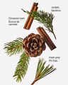 Cinnamon Pinecone 3-Wick Candle