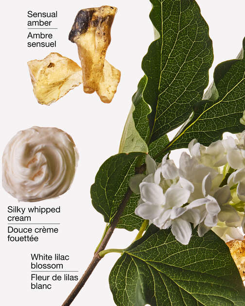 Milk & Musk Wallflowers Fragrance Refill