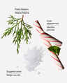 Twisted Peppermint 3-Wick Candle