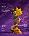 Rapunzel Travel Size Fine Fragrance Mist