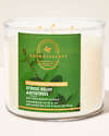 Eucalyptus Spearmint 3-Wick Candle