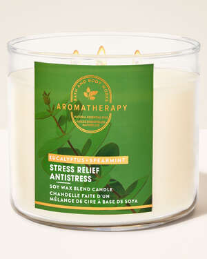 Eucalyptus Spearmint 3-Wick Candle