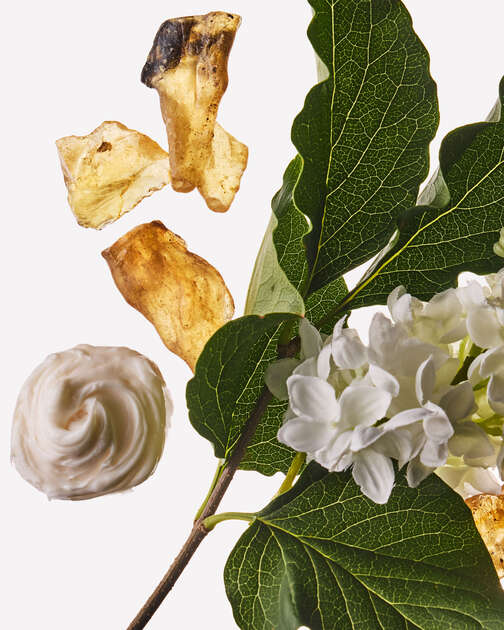 Milk & Musk Wallflowers Fragrance Refill