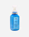 Crisp Morning Air Gentle & Clean Foaming Hand Soap