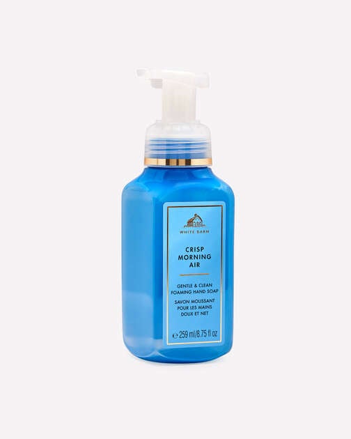 Crisp Morning Air Gentle & Clean Foaming Hand Soap