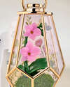 Orchid Terrarium Scent Control&trade; Nightlight Wallflowers Fragrance Plug
