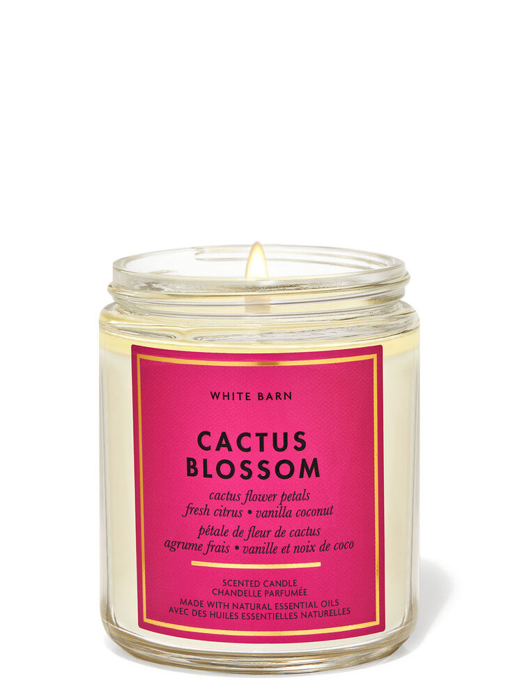 Chandelle à une mèche dans un pot Mason Cactus Blossom
