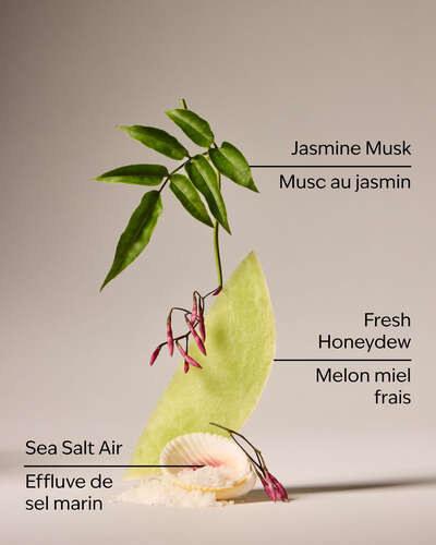 Sea Salt Travel Size Fine Fragrance Mist