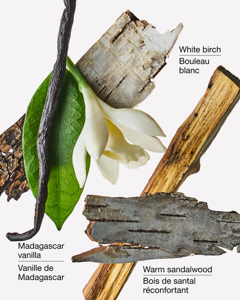 Vanilla Birch 3-Wick Candle
