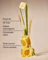 Laundry Room Lemon Concentrated Room Spray