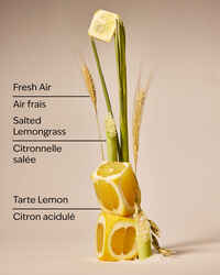 Laundry Room Lemon Concentrated Room Spray