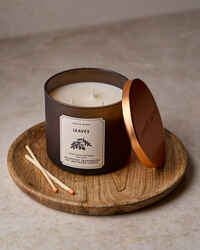 Leaves 3-Wick Candle