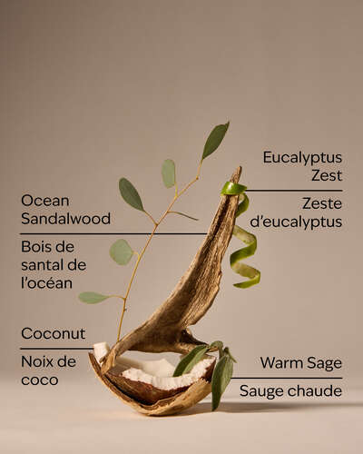 Warm Ocean Breeze Single Wick Candle