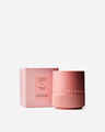 Vanilla + Tonka Single Wick Candle