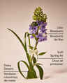 Recharge de fragrance Wallflowers Fresh Cut Lilacs
