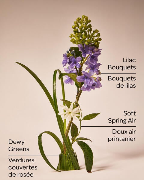 Recharge de fragrance Wallflowers Fresh Cut Lilacs