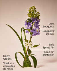 Fresh Cut Lilacs Wallflowers Fragrance Refill