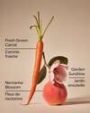 Carrot & Nectarine 3-Wick Candle