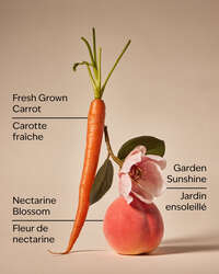 Carrot & Nectarine 3-Wick Candle