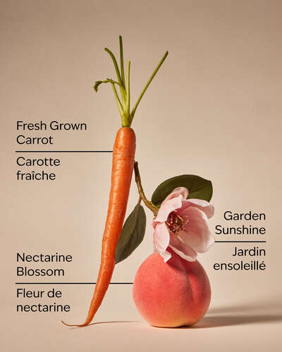 Carrot & Nectarine 3-Wick Candle