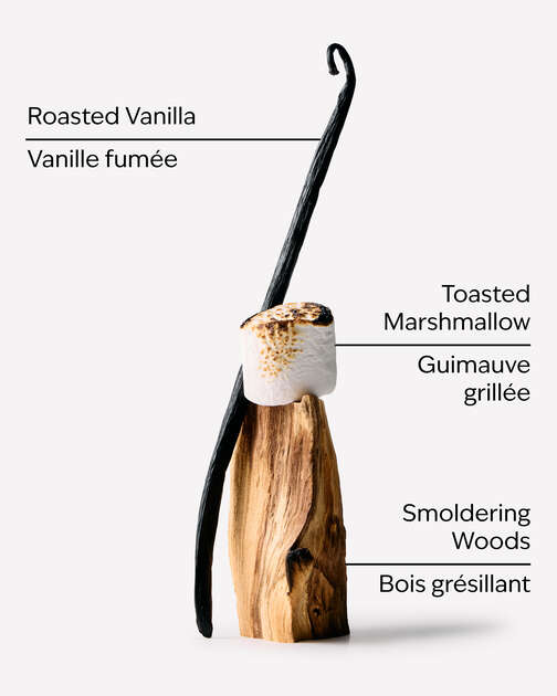 Marshmallow Fireside Wallflowers Fragrance Refill
